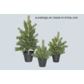 PE Sitca-Spruce Pine Tree Artificial Plant with Pot for Christmas Decoration (47828)